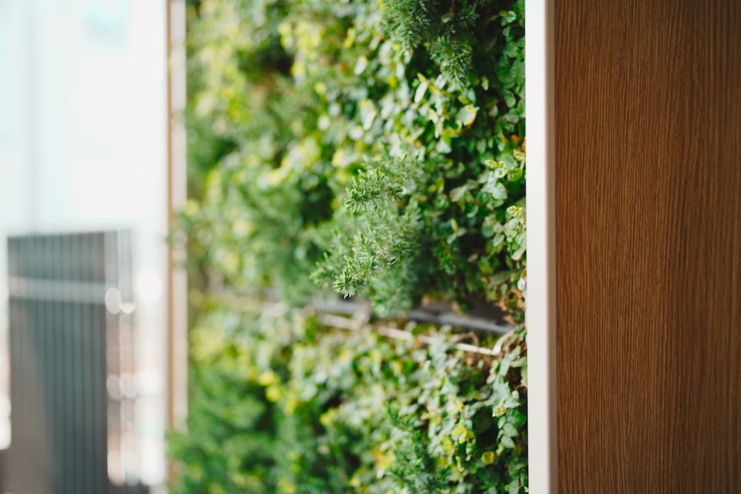 About page - Sustainability image